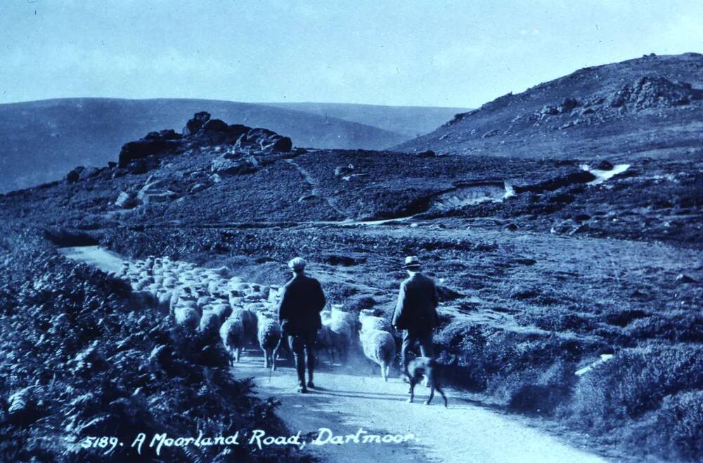 An image from the Dartmoor Trust Archive