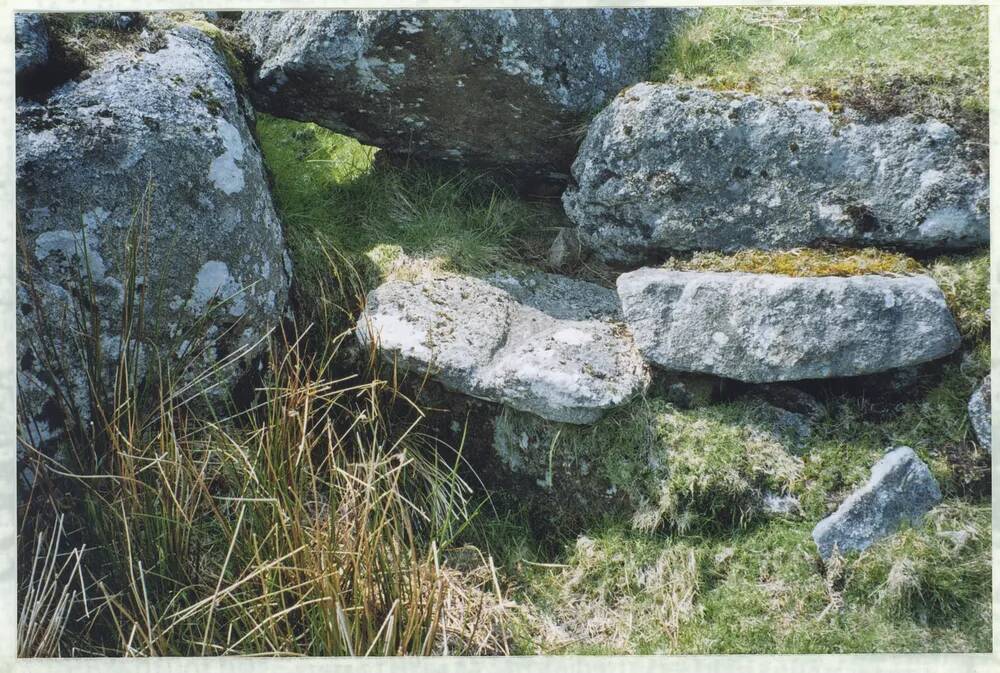 An image from the Dartmoor Trust Archive