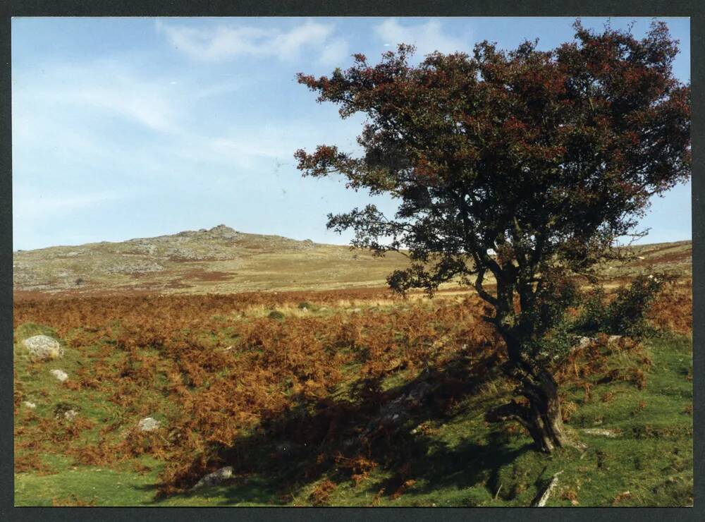 An image from the Dartmoor Trust Archive