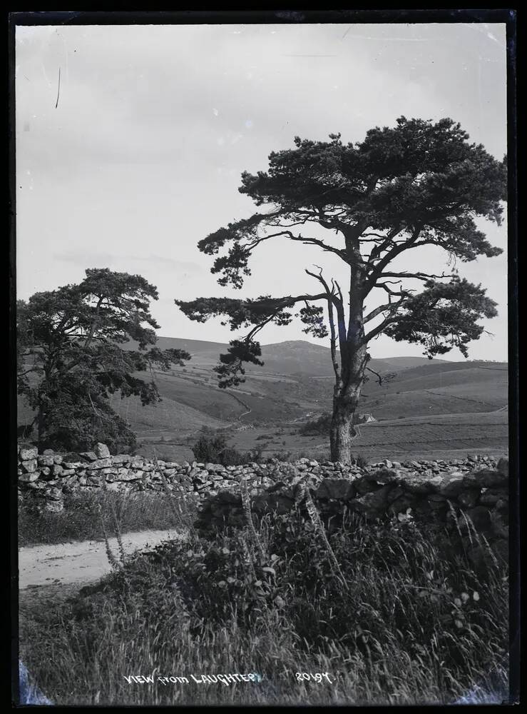 View from Laughter Tor, Lydford