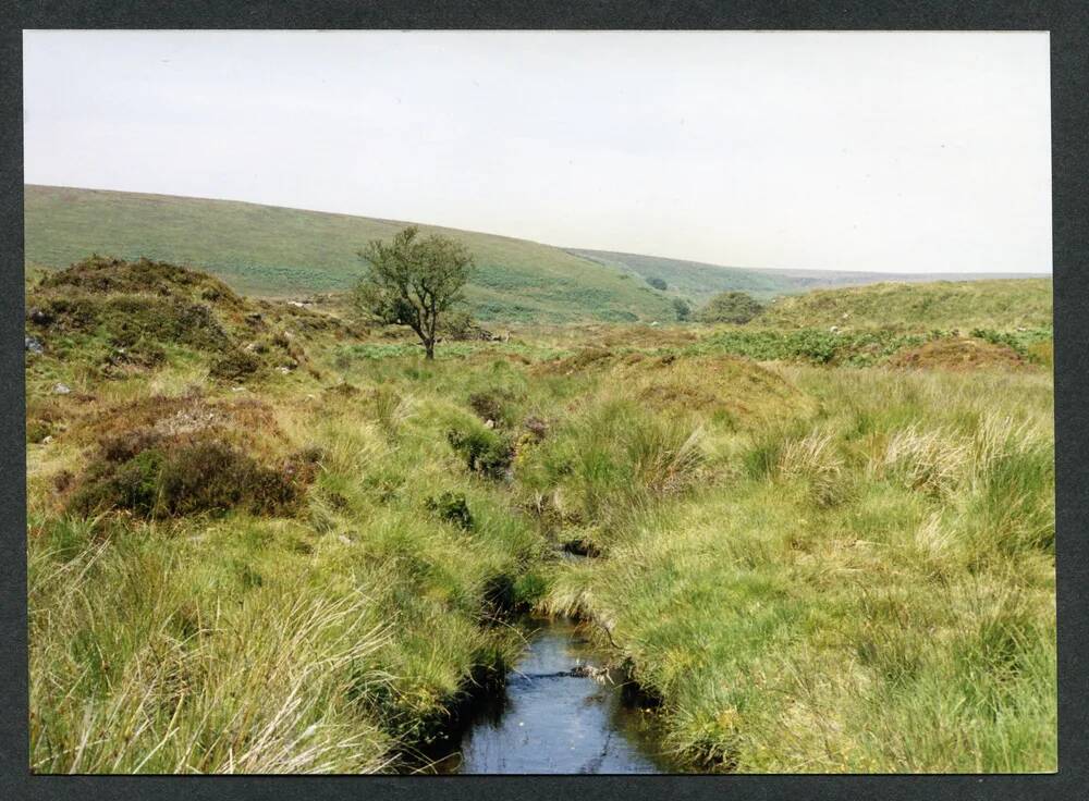 An image from the Dartmoor Trust Archive