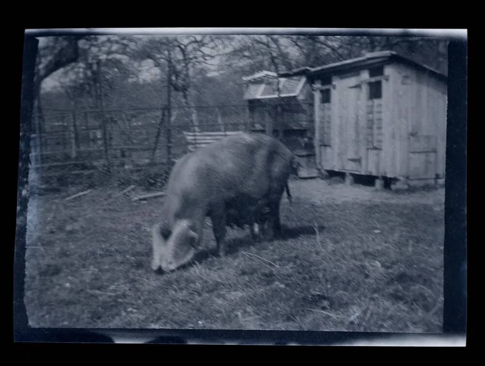 An image from the Dartmoor Trust Archive