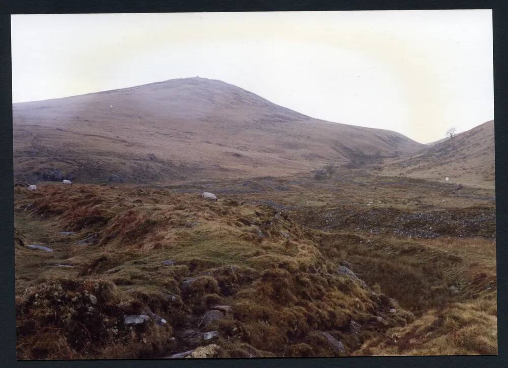 An image from the Dartmoor Trust Archive