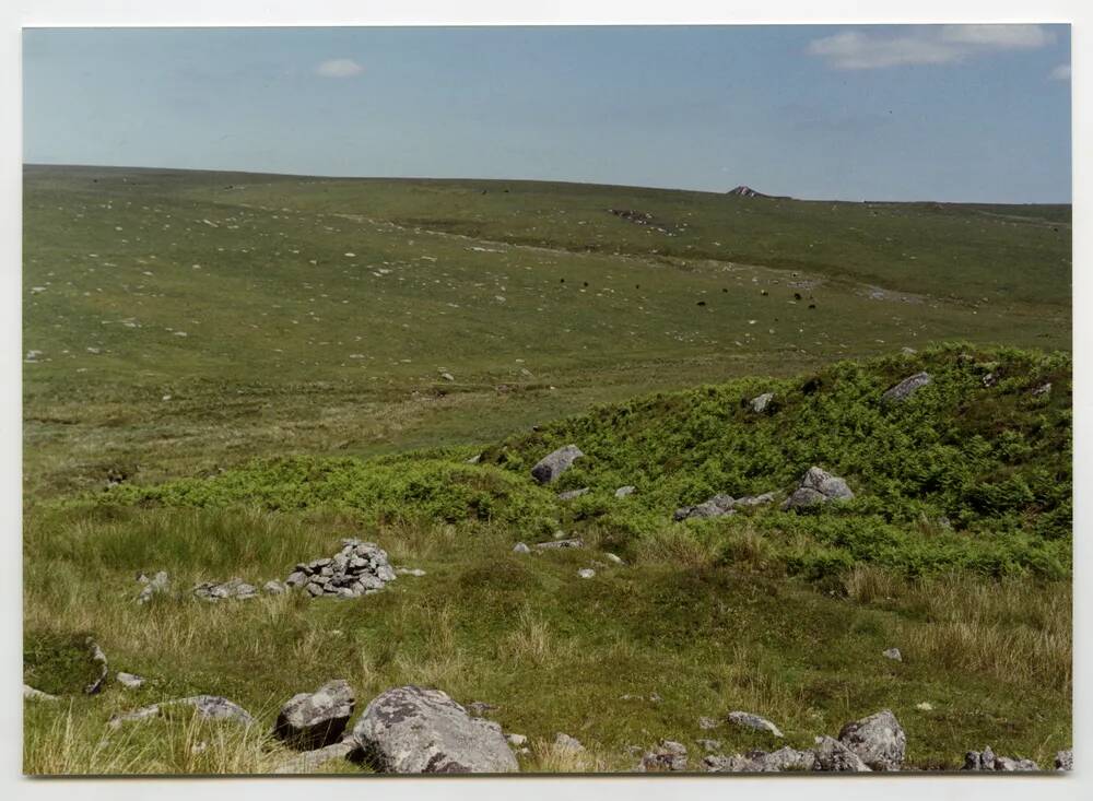 An image from the Dartmoor Trust Archive