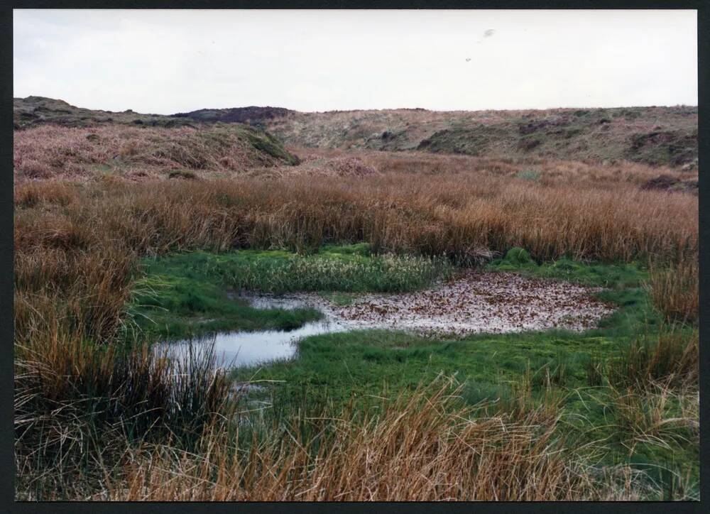 4/30 Flooded Mica pits Bala Brook Head 22/5/1991