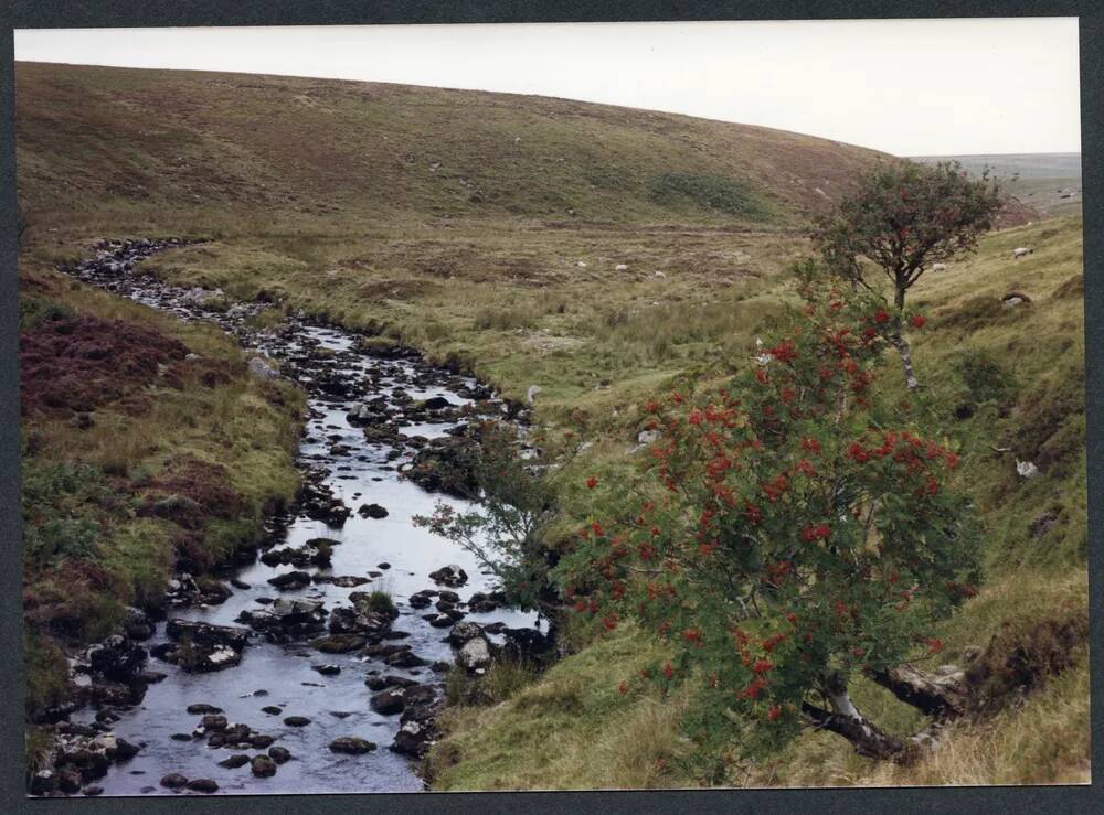 An image from the Dartmoor Trust Archive