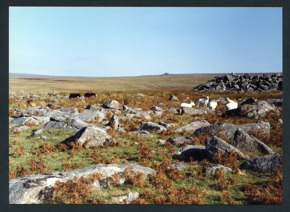 An image from the Dartmoor Trust Archive