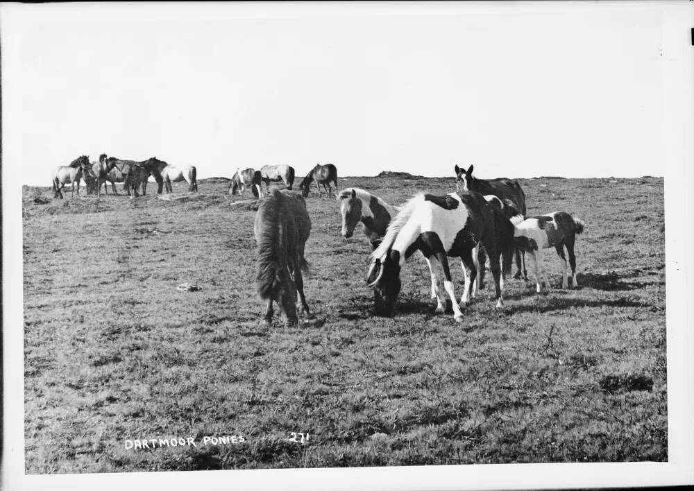 An image from the Dartmoor Trust Archive