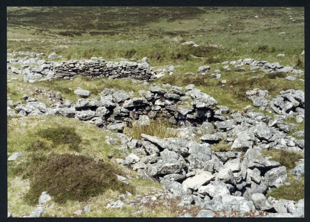 An image from the Dartmoor Trust Archive