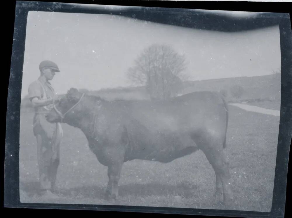 An image from the Dartmoor Trust Archive