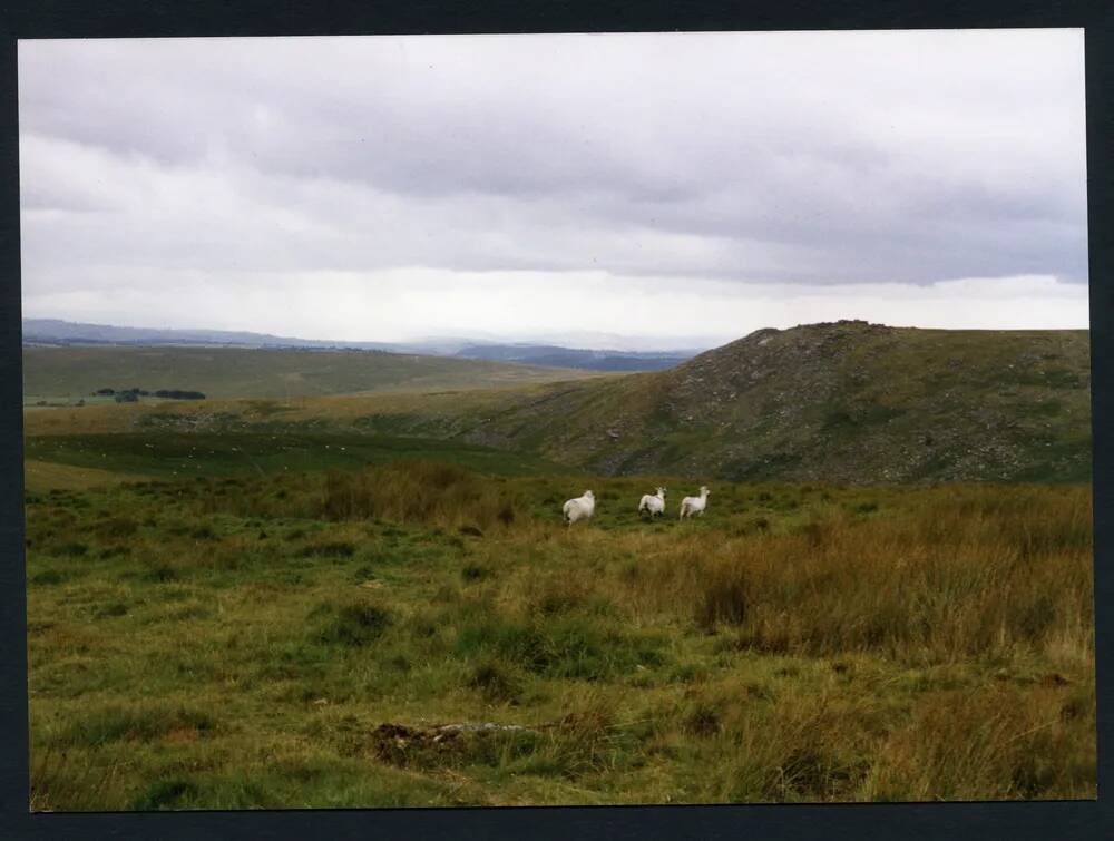 An image from the Dartmoor Trust Archive