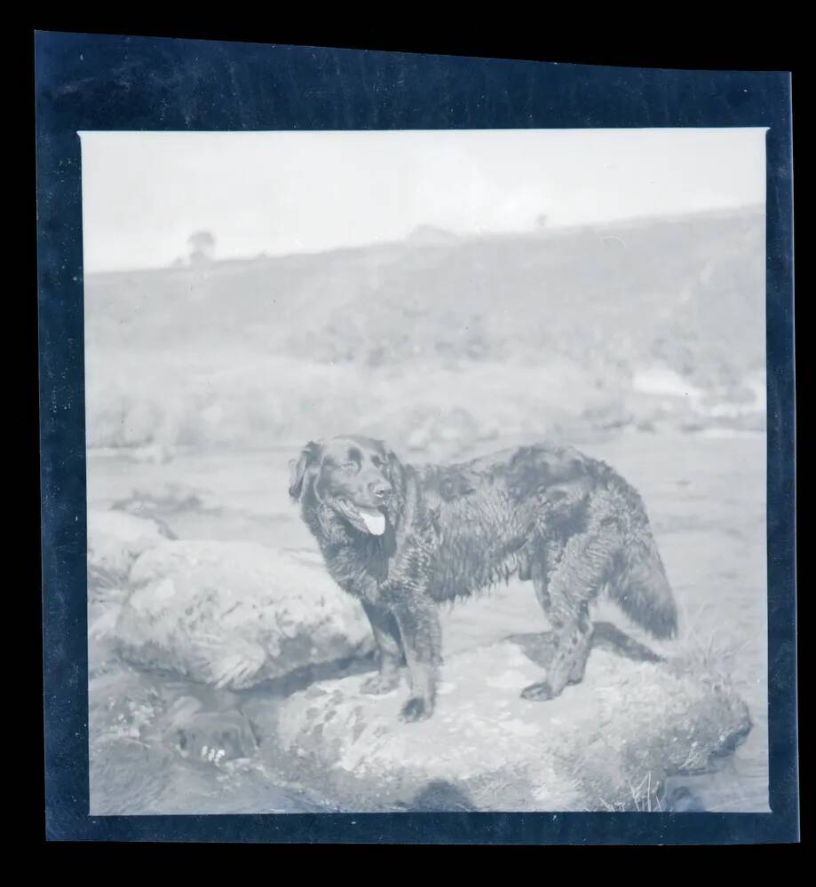 An image from the Dartmoor Trust Archive