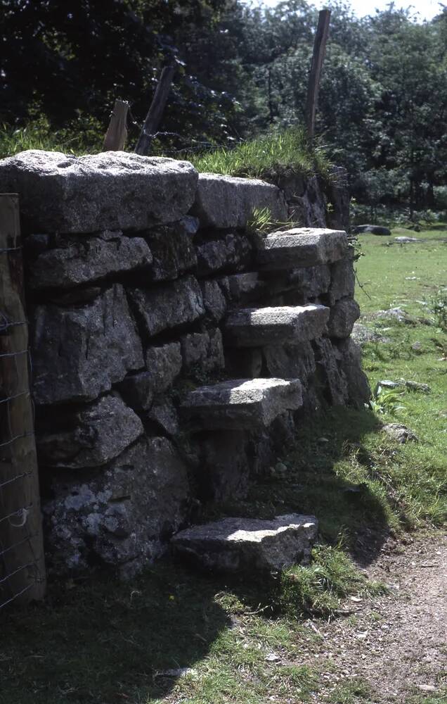 An image from the Dartmoor Trust Archive