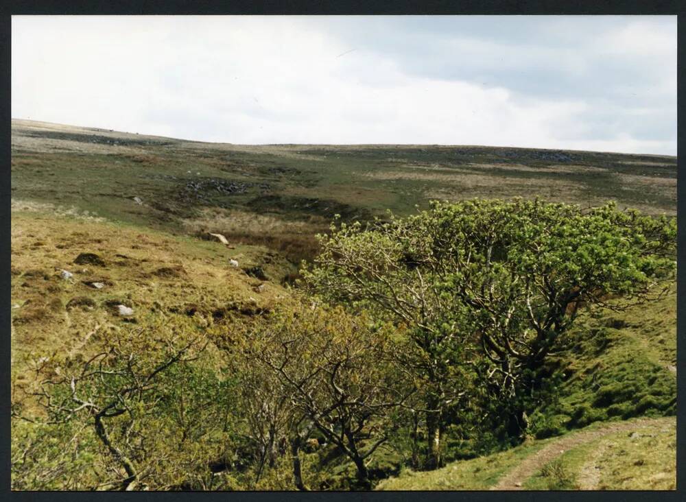 An image from the Dartmoor Trust Archive