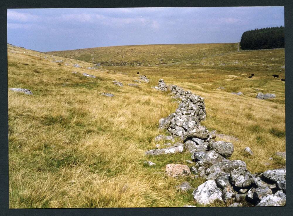 An image from the Dartmoor Trust Archive