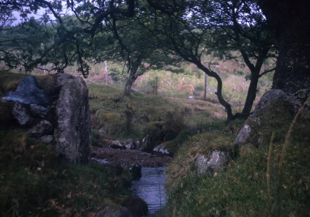 An image from the Dartmoor Trust Archive