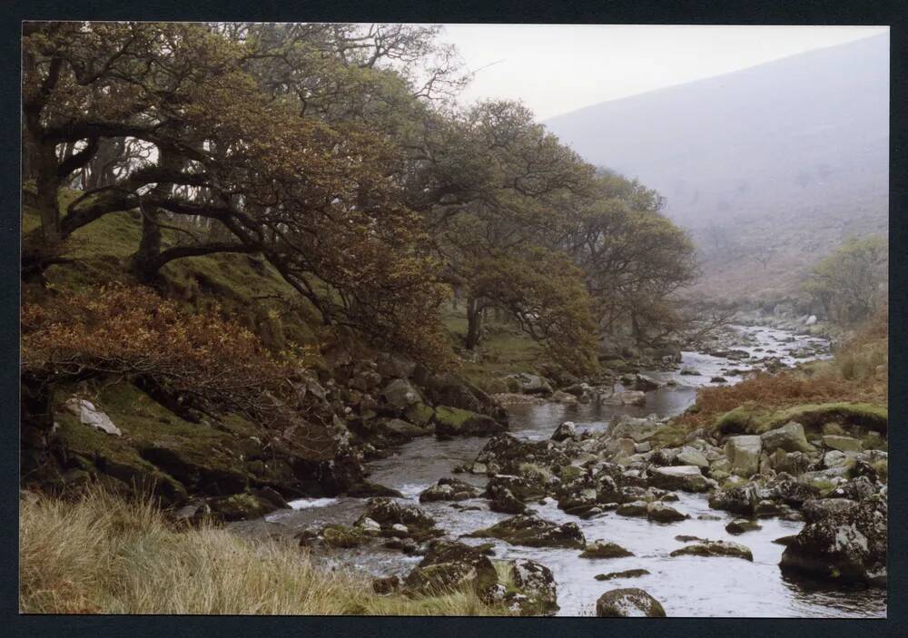 An image from the Dartmoor Trust Archive