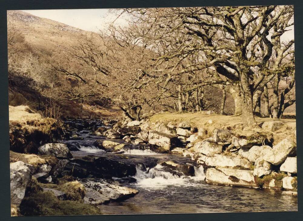 An image from the Dartmoor Trust Archive