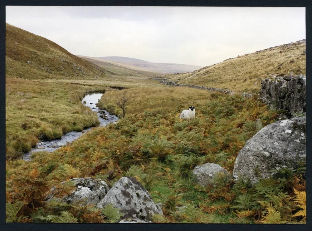 An image from the Dartmoor Trust Archive