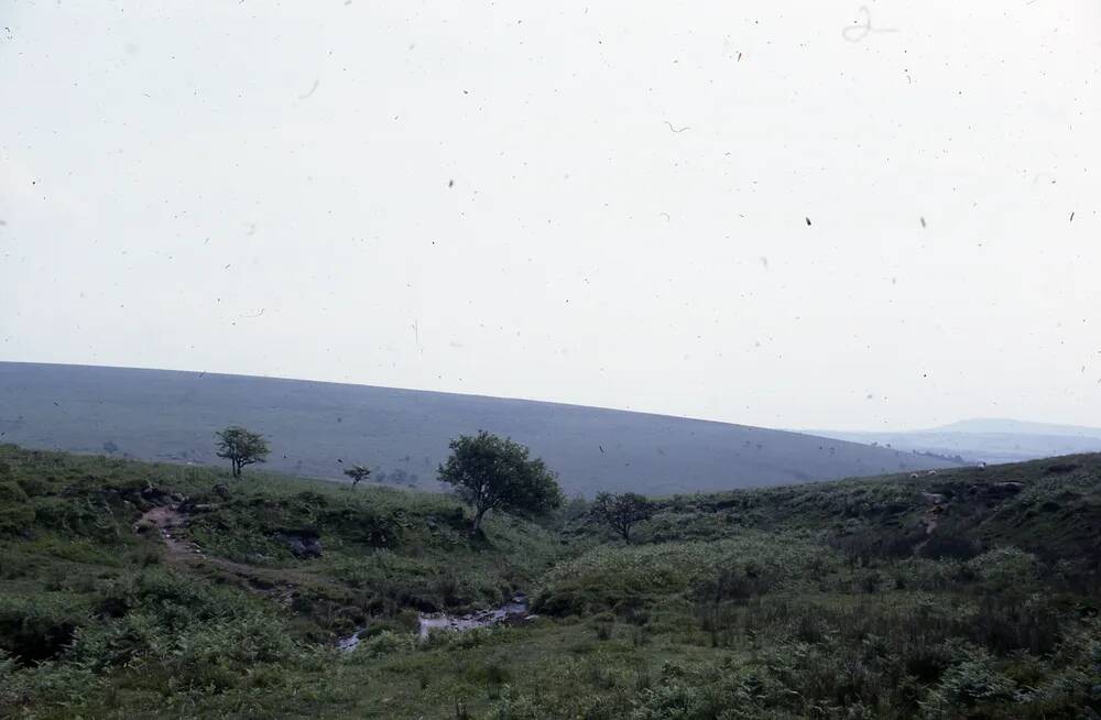 An image from the Dartmoor Trust Archive