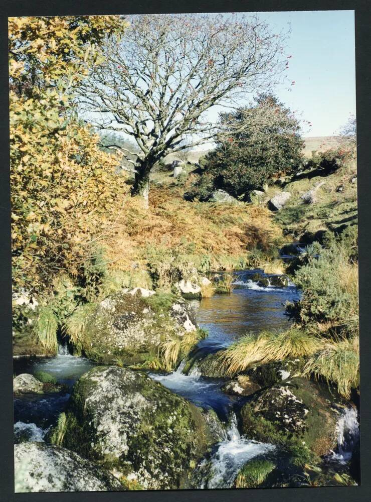 An image from the Dartmoor Trust Archive