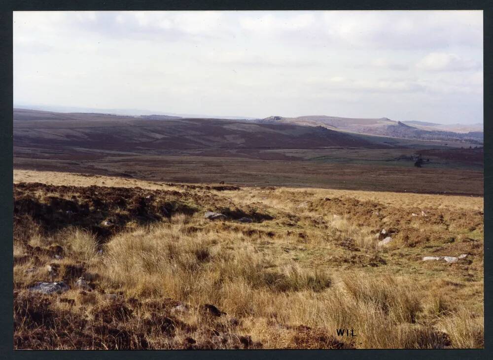 5/56 Source of Hen Tor Brook 10/1993