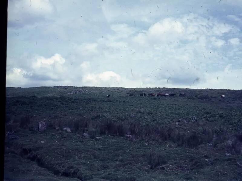 An image from the Dartmoor Trust Archive