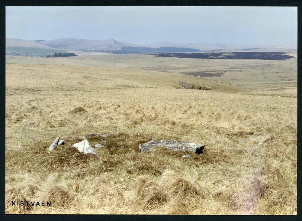 An image from the Dartmoor Trust Archive