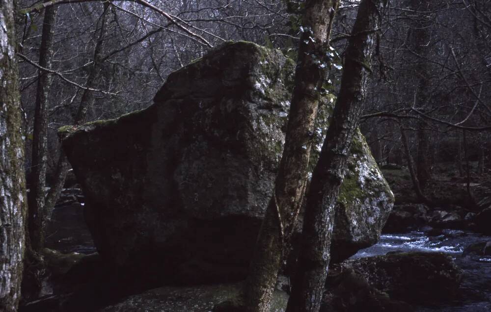 An image from the Dartmoor Trust Archive