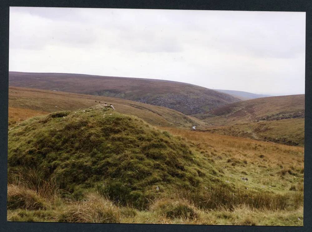 An image from the Dartmoor Trust Archive