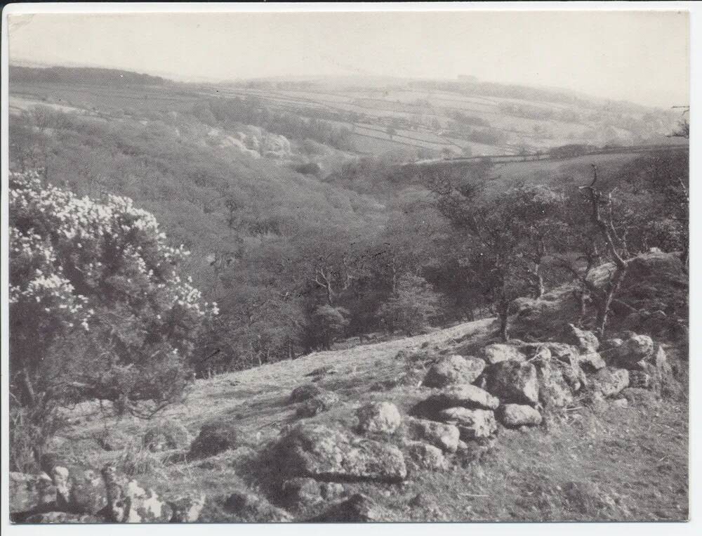 Looking south from high moor