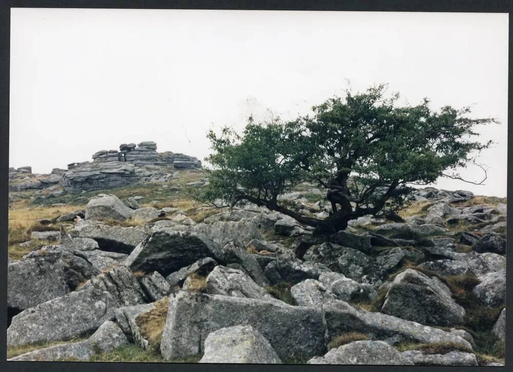 An image from the Dartmoor Trust Archive