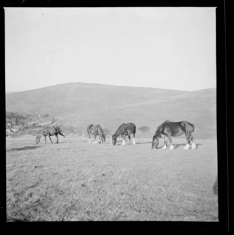 An image from the Dartmoor Trust Archive