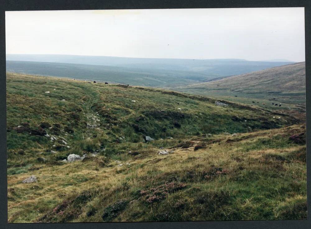 An image from the Dartmoor Trust Archive