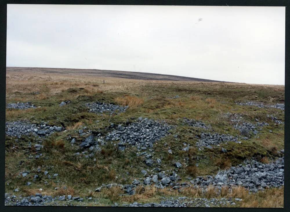 32/21 Tinners Burrows near Wellabrook Stone 25/4/1991