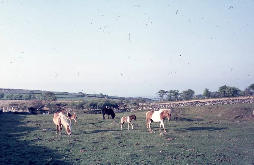 An image from the Dartmoor Trust Archive