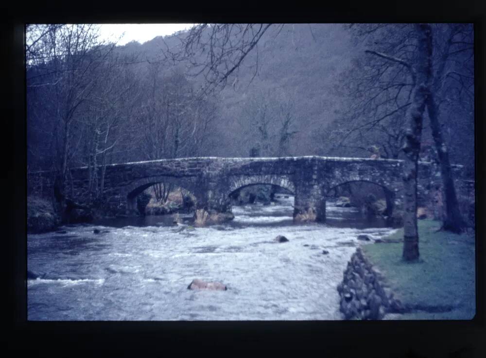 Fingle Bridge