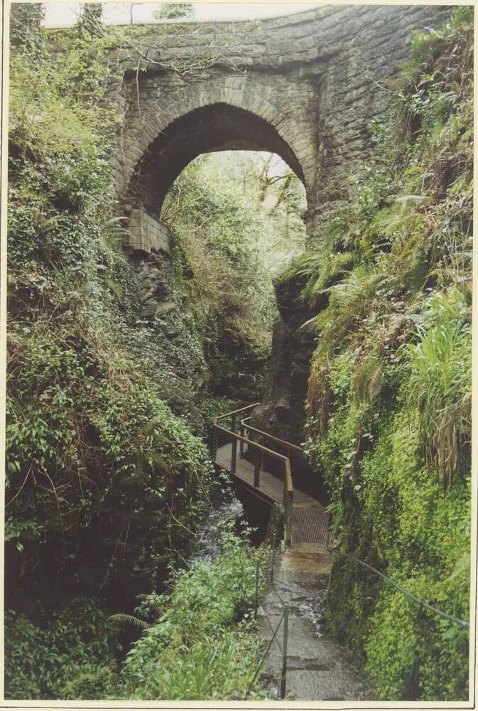 An image from the Dartmoor Trust Archive