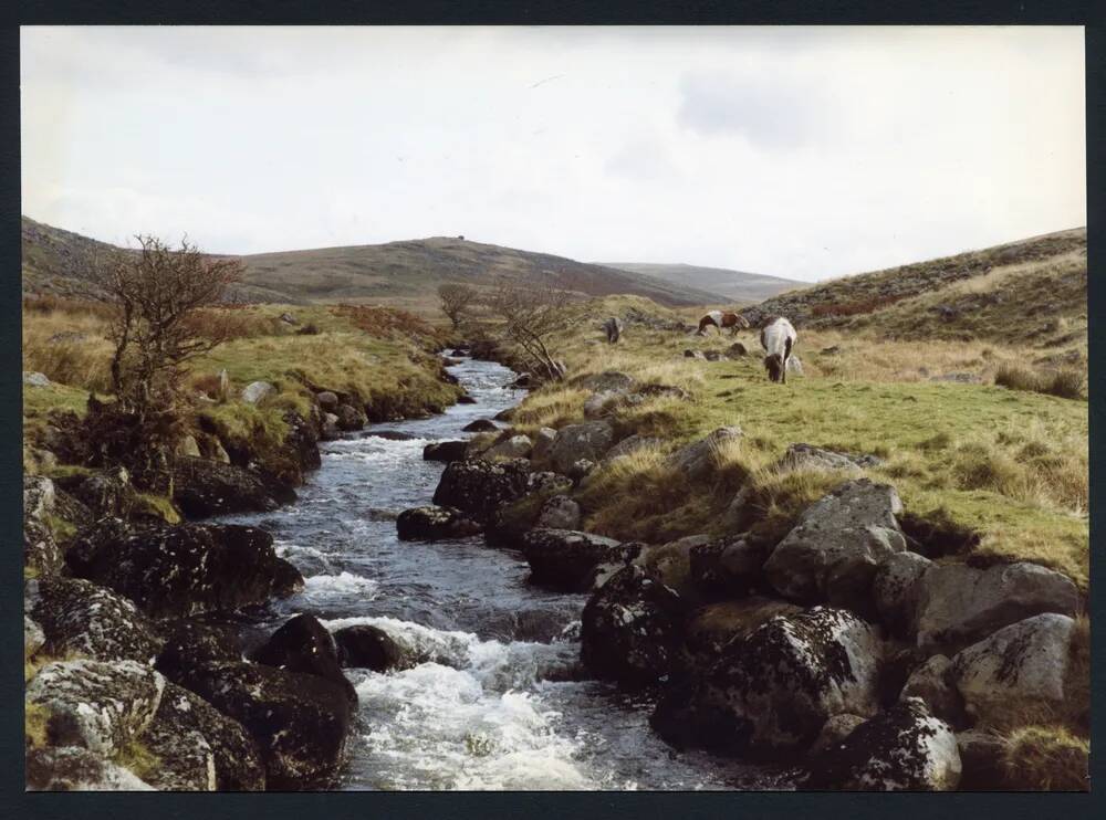 An image from the Dartmoor Trust Archive