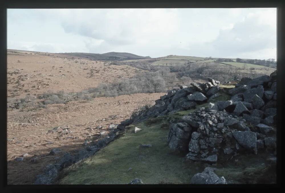 Holwell Tor and Quarry 