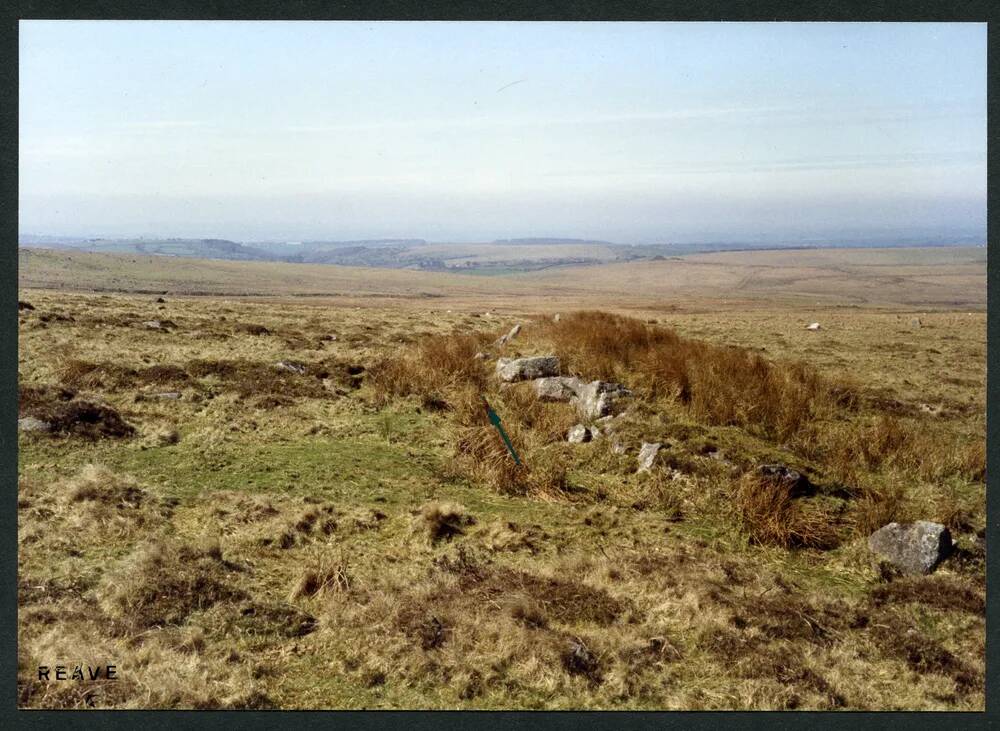 An image from the Dartmoor Trust Archive