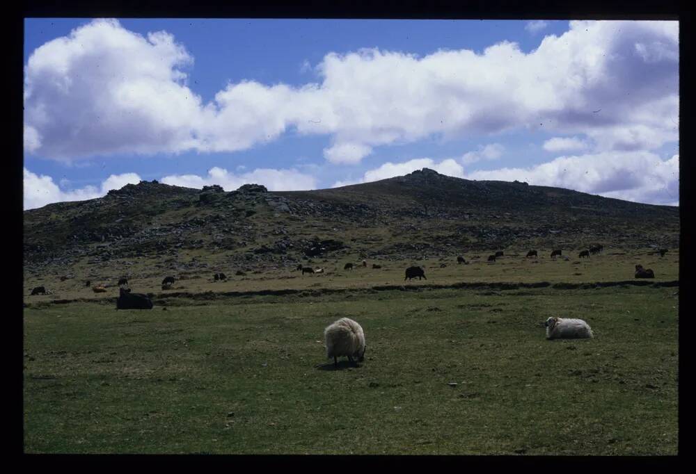 Belstone Tor