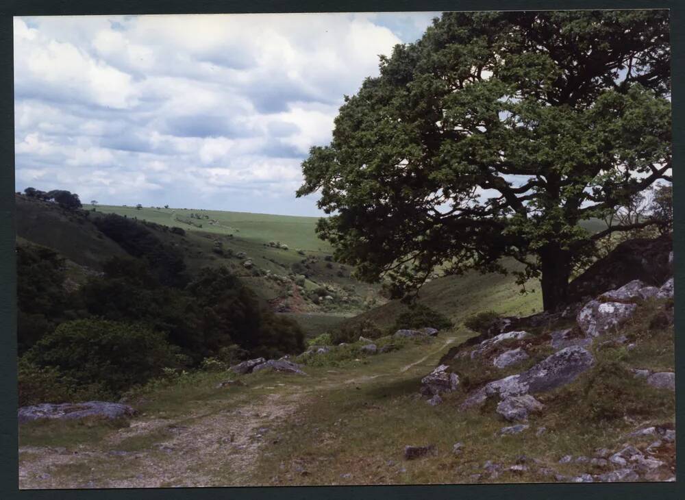 An image from the Dartmoor Trust Archive