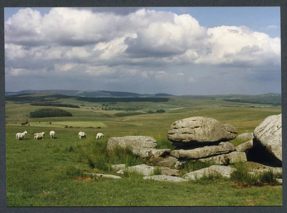 An image from the Dartmoor Trust Archive