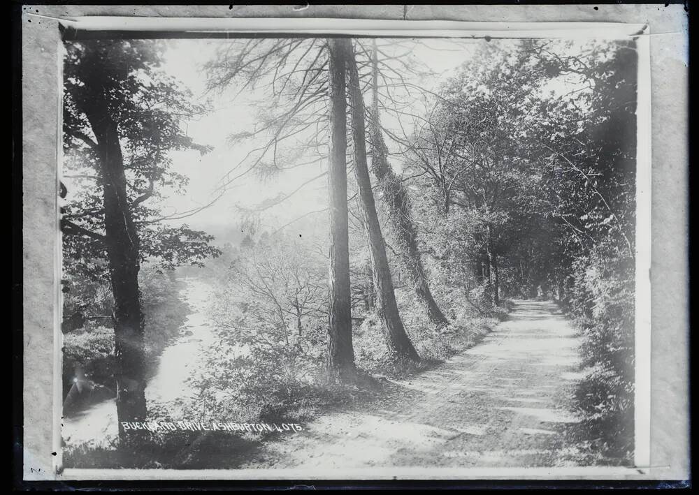 Buckland Drive, Webburn Valley, Buckland in the Moor