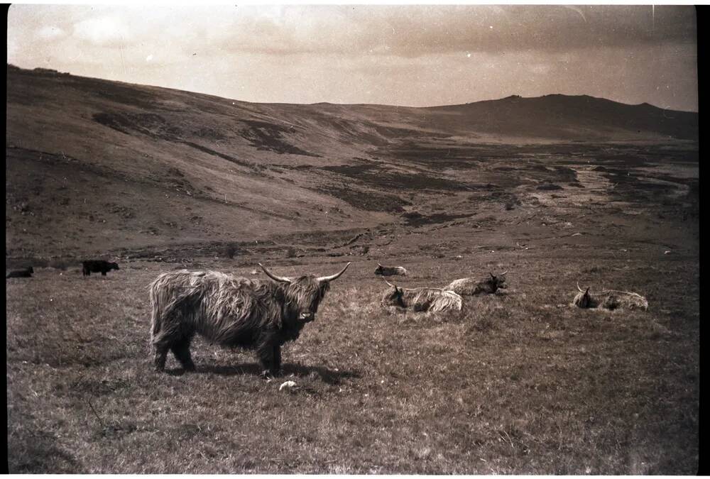 An image from the Dartmoor Trust Archive