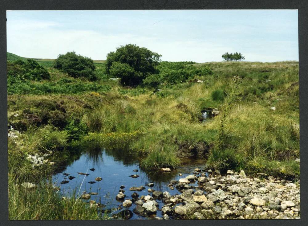 An image from the Dartmoor Trust Archive