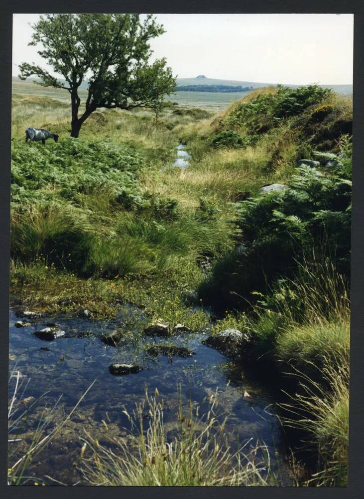 An image from the Dartmoor Trust Archive