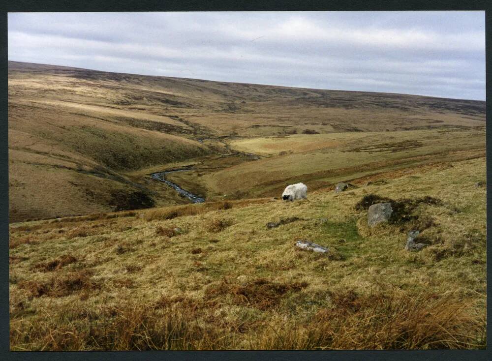 An image from the Dartmoor Trust Archive