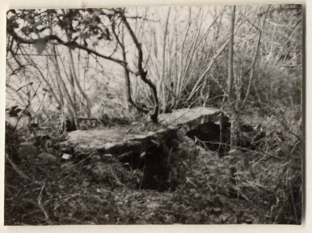 Stone clapper bridge near Langaford Bridge